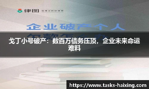 戈丁小号破产:数百万债务压顶,企业未来命运难料